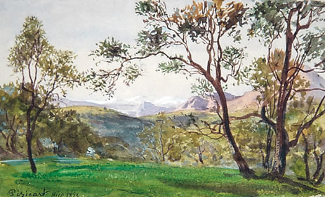 Pessicart, dans les oliviers, échappée sur les Alpes, janvier 1873